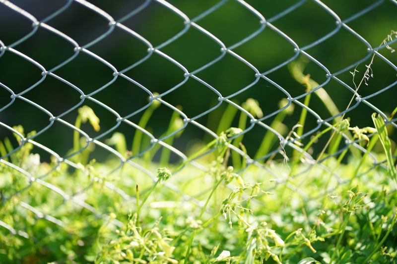 Chain Link Fence Replacement in Pearland, TX
